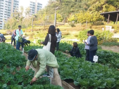 파종의 설렘에서 수확의 기쁨까지! 노원구, 도시농부학교 수강생 모집