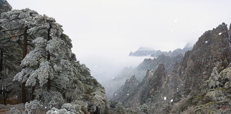 [서현호 사진작가] 중국 황산 여행1